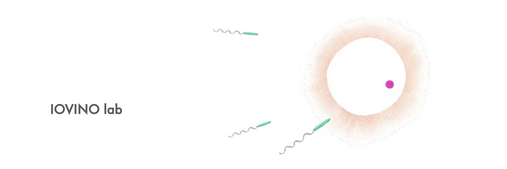 Maternal gametes and epigenetic inheritance