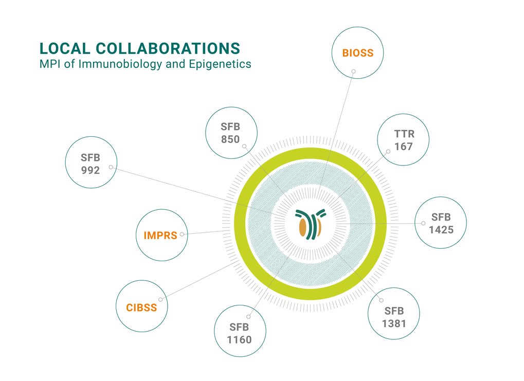 Small abstract map on local collaborations of the MPI-IE in Freiburg