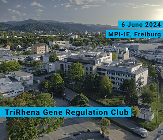 TriRhena Gene Regulation