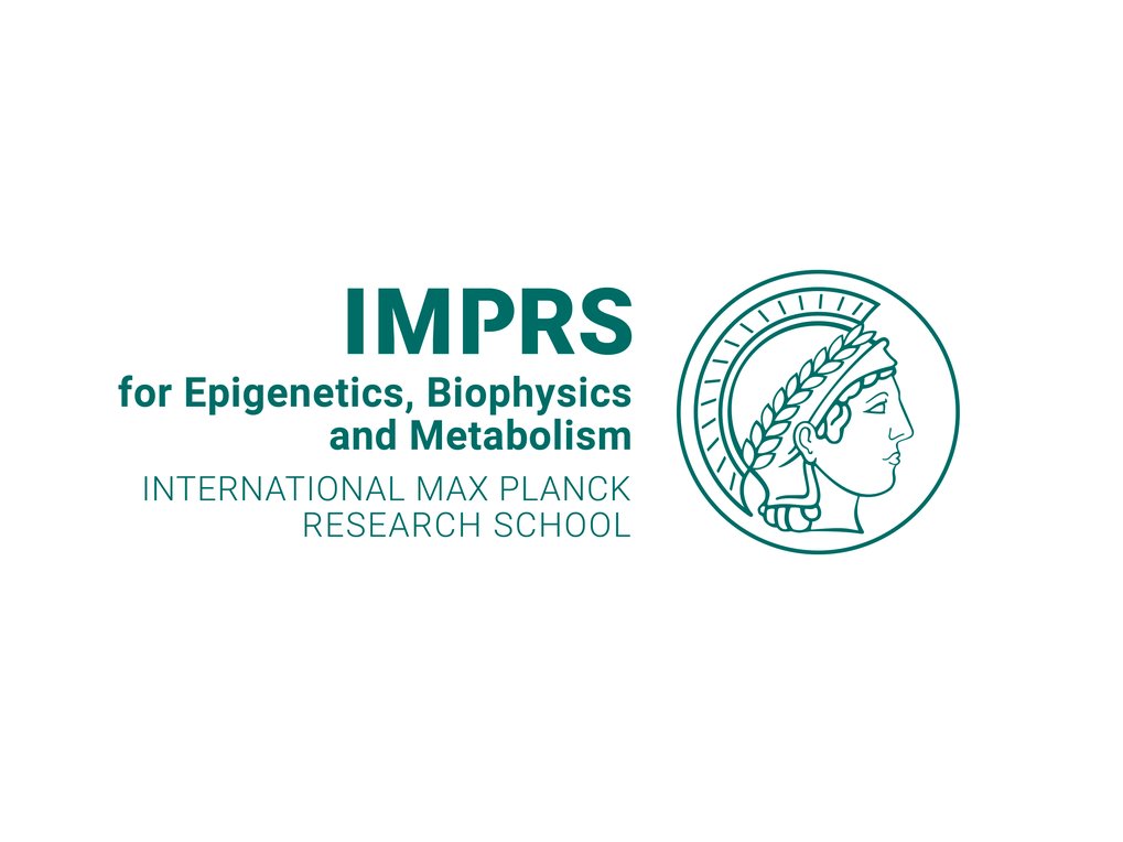 imprs-ebm logo