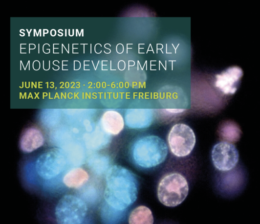 Symposium: Epigenetics of early mouse development